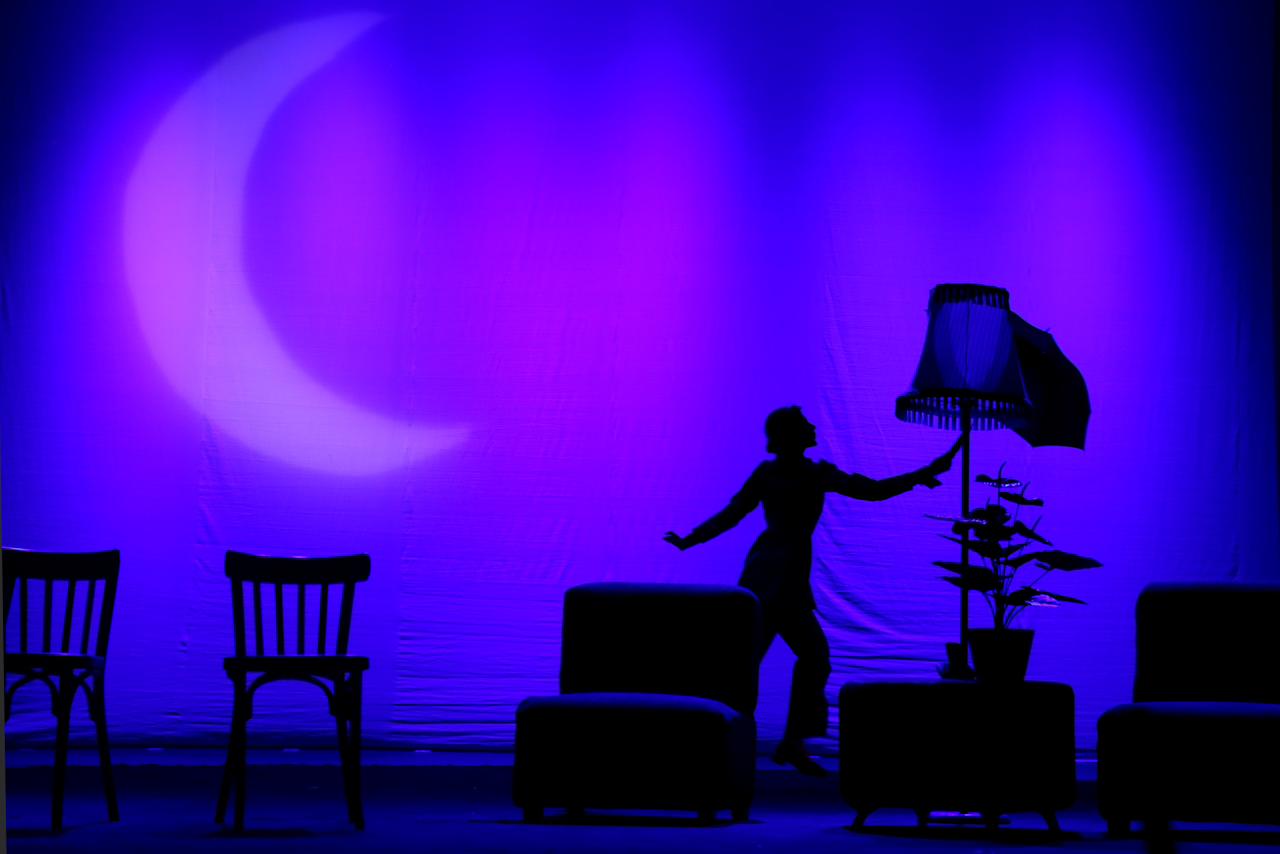 В Баку появилась волшебница, понимающая язык животных и птиц (ФОТО)