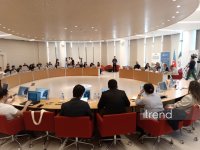 В преддверии WUF13 в Баку организована информационная сессия для журналистов (ФОТО)