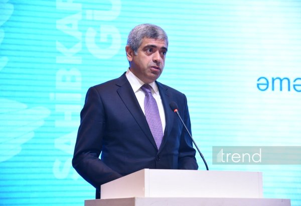 До 2030 года будет обеспечена организация самозанятости 30 тысяч безработных - Анар Алиев