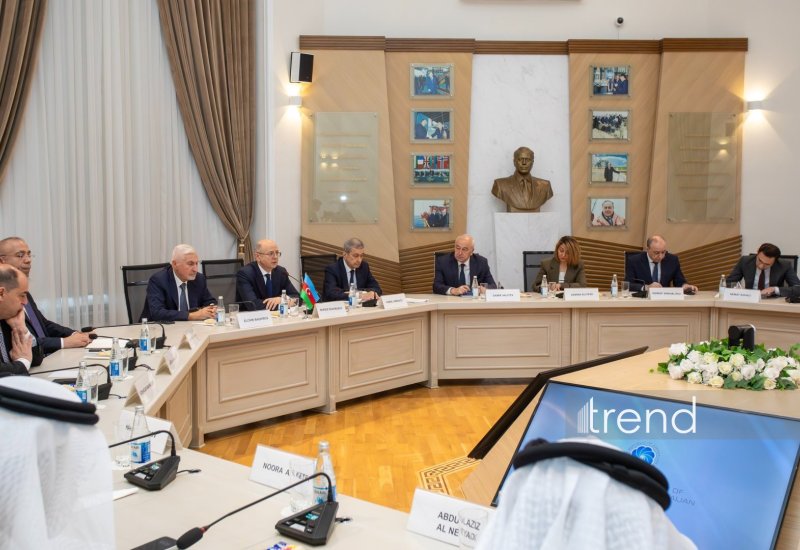 Обсуждено развитие партнерства в энергосфере между Азербайджаном и ОАЭ (ФОТО)