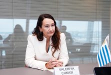 Обсуждено развитие экономического сотрудничества между Азербайджаном и Уругваем