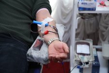 Азербайджанские актеры провели акцию во имя спасения жизней (ВИДЕО, ФОТО)