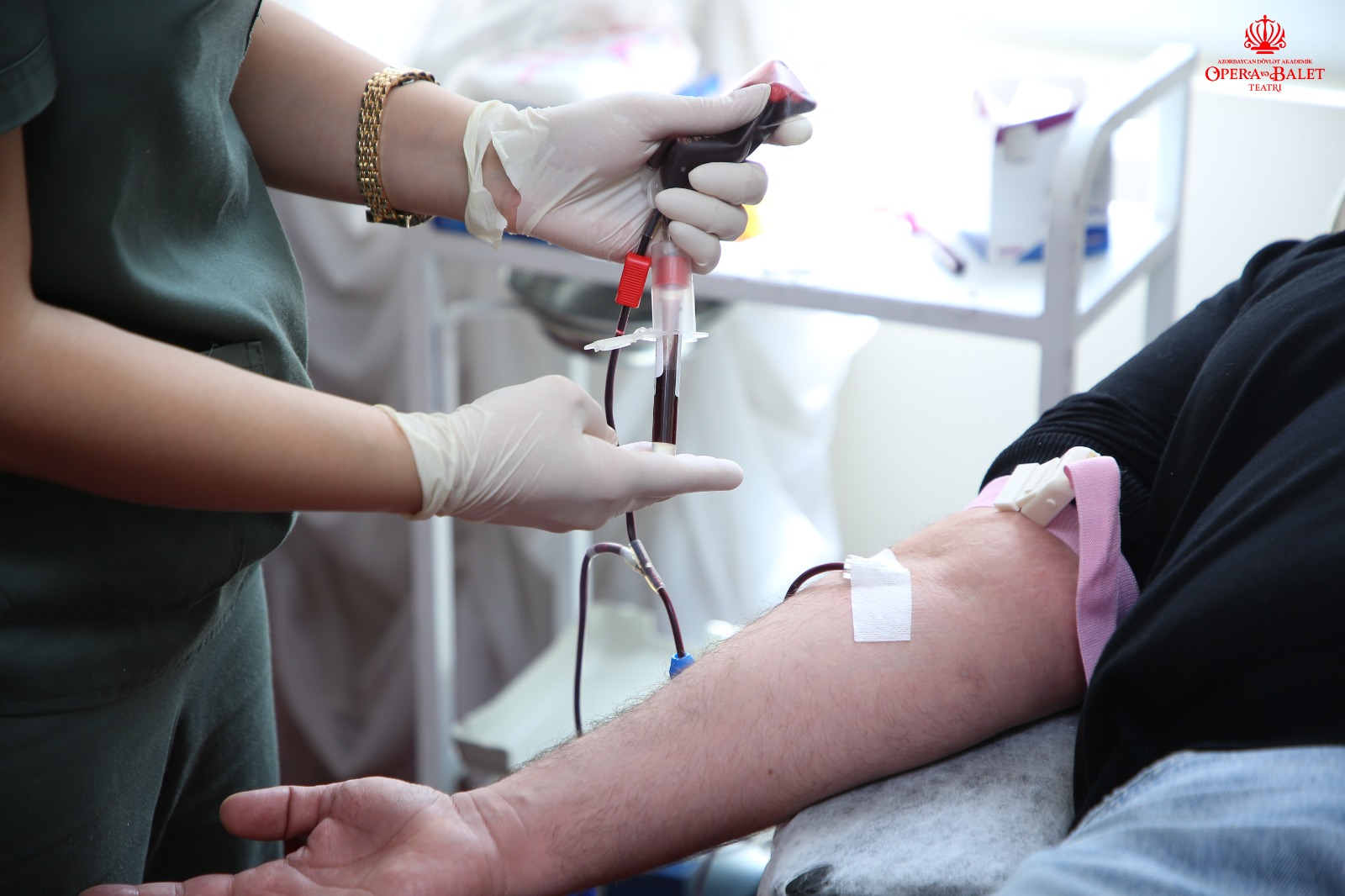 Азербайджанские актеры провели акцию во имя спасения жизней (ВИДЕО, ФОТО)