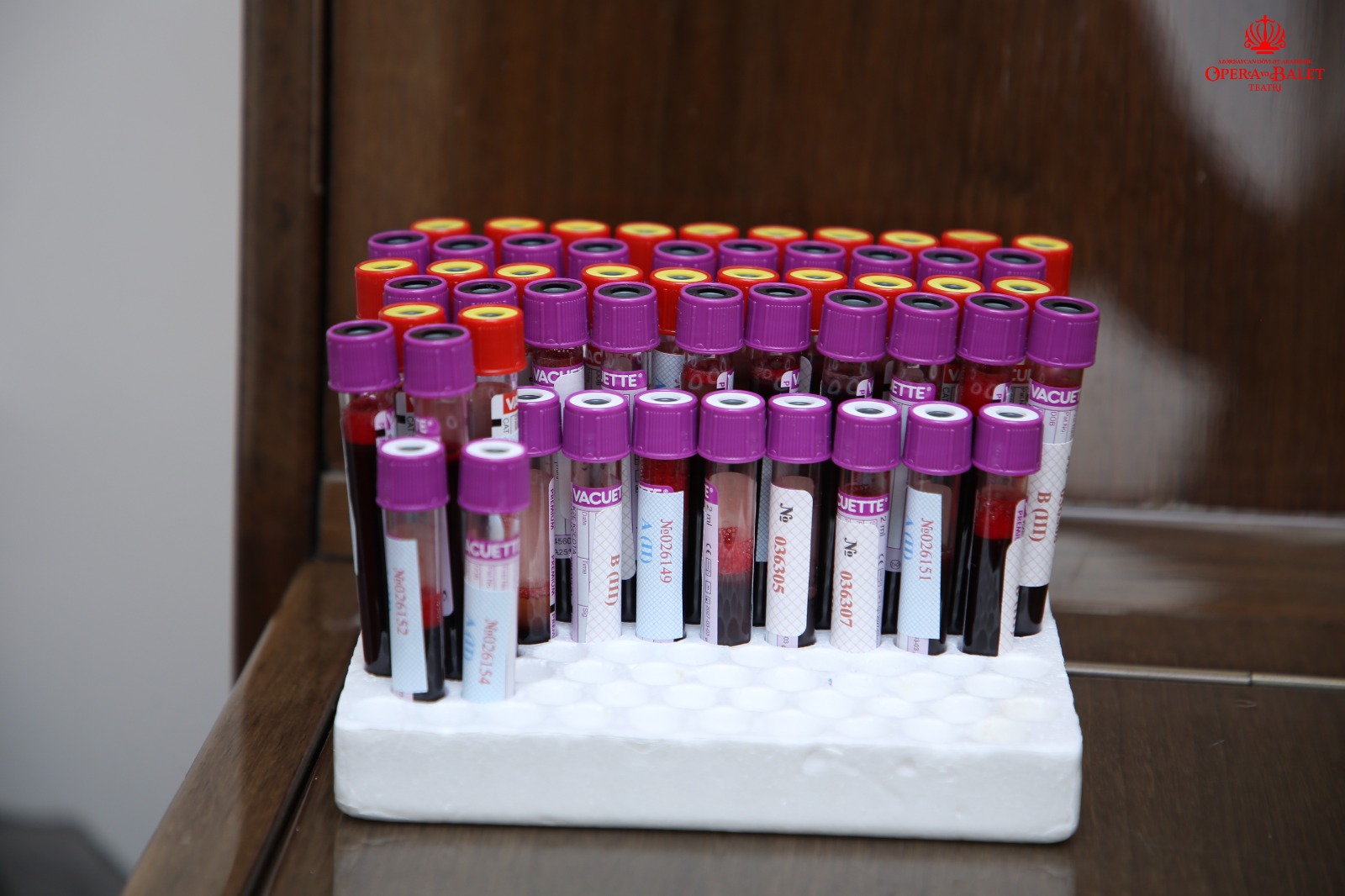 Азербайджанские актеры провели акцию во имя спасения жизней (ВИДЕО, ФОТО)