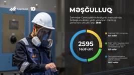 Общая выручка от продаж ЗАО «AzerGold» в первом квартале выросла на 18%