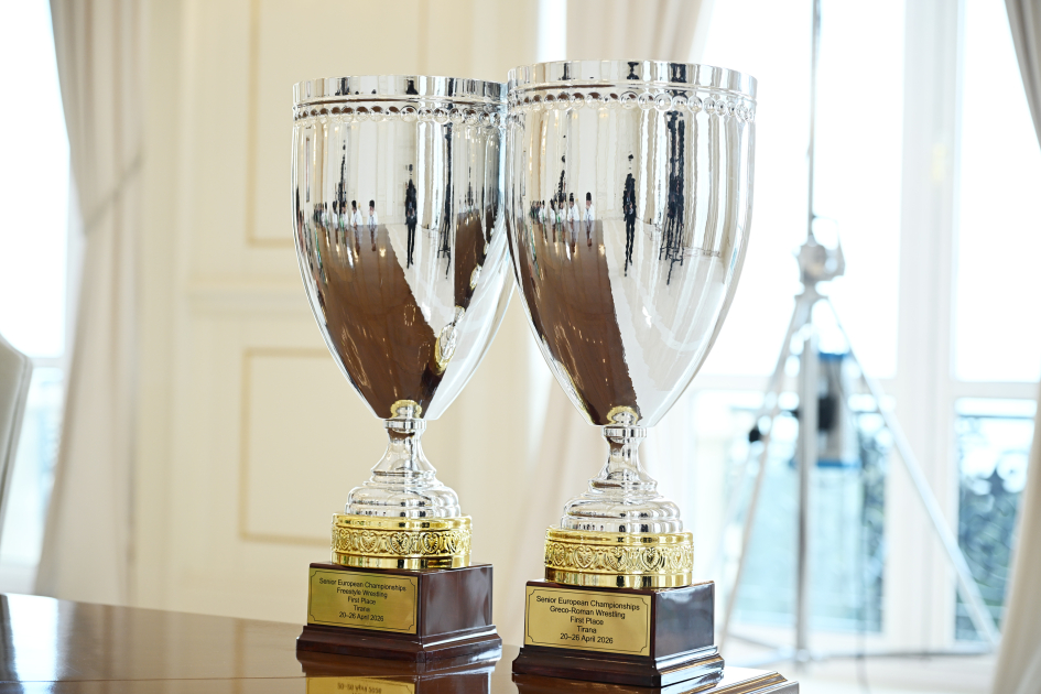 Президент Ильхам Алиев принял борцов, завоевавших первое место в командном зачете на чемпионате Европы (ФОТО)