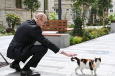 Президент Ильхам Алиев и Первая леди Мехрибан Алиева приняли участие в открытии после реконструкции улицы Ислама Сафарли в Баку (ФОТО)
