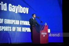 В Баку стартовал Кубок Европы по художественной гимнастике (ФОТО)