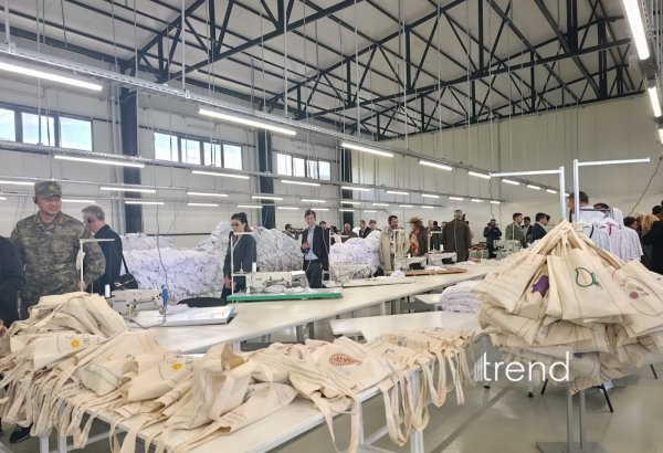 Представители дипкорпуса посетили агропромышленный парк в Лачине (ФОТО)
