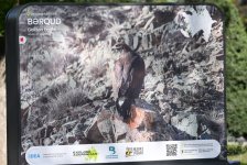 В Баку проходит выставка «По следам азербайджанской природы» (ФОТО)