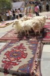 Грандиозный Международный фестиваль ковра в Баку – свадьба, креатив, традиции народов (РЕПОРТАЖ, ФОТО)