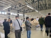 Представители дипкорпуса посетили агропромышленный парк в Лачине (ФОТО)