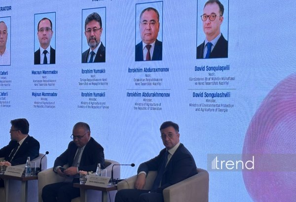 Обеспечение продовольственной безопасности требует укрепления сотрудничества вдоль Среднего коридора - Давид Сонгулашвили