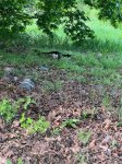 Первый вице-президент Мехрибан Алиева поделилась кадрами из Зангилана (ФОТО)