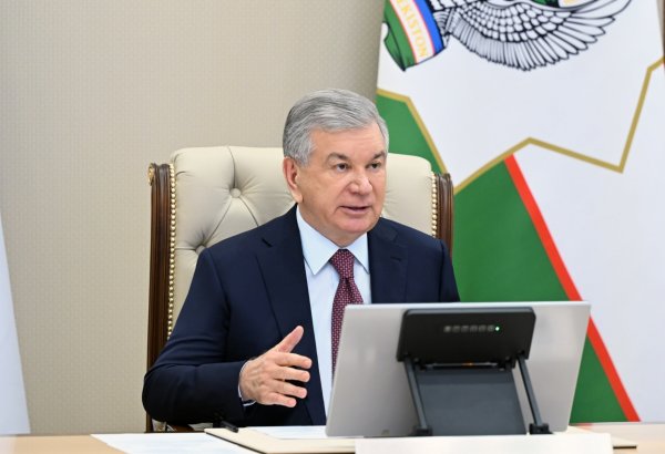 Узбекистан предлагает объявить 2027 год «Годом охраны экологии» в тюркском мире