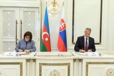 Подписан меморандум между Милли Меджлисом Азербайджана и Национальным советом Словакии (ФОТО)
