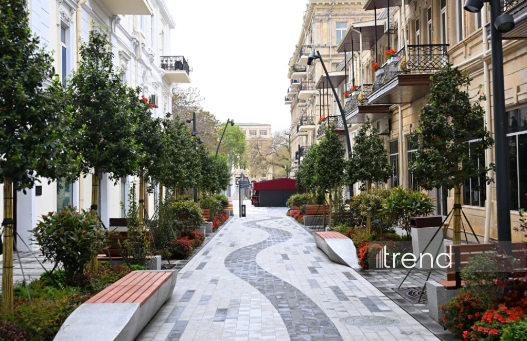 Баку в преддверии WUF13 украшают цветами и новыми зелеными зонами (ФОТОРЕПОРТАЖ)