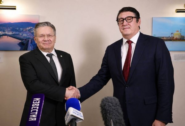Казахстан, Росатом обсудили проект АЭС "Балхаш"