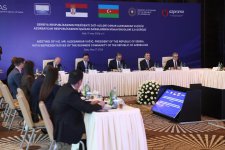 Президент Сербии провел встречу с представителями азербайджанского бизнеса (ФОТО)