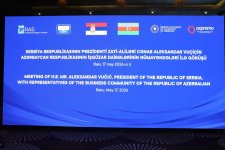 Президент Сербии провел встречу с представителями азербайджанского бизнеса (ФОТО)