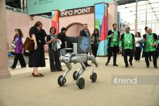 Завершился второй день WUF13 в Баку (Фоторепортаж)