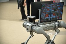 Завершился второй день WUF13 в Баку (Фоторепортаж)