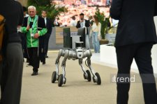 Завершился второй день WUF13 в Баку (Фоторепортаж)