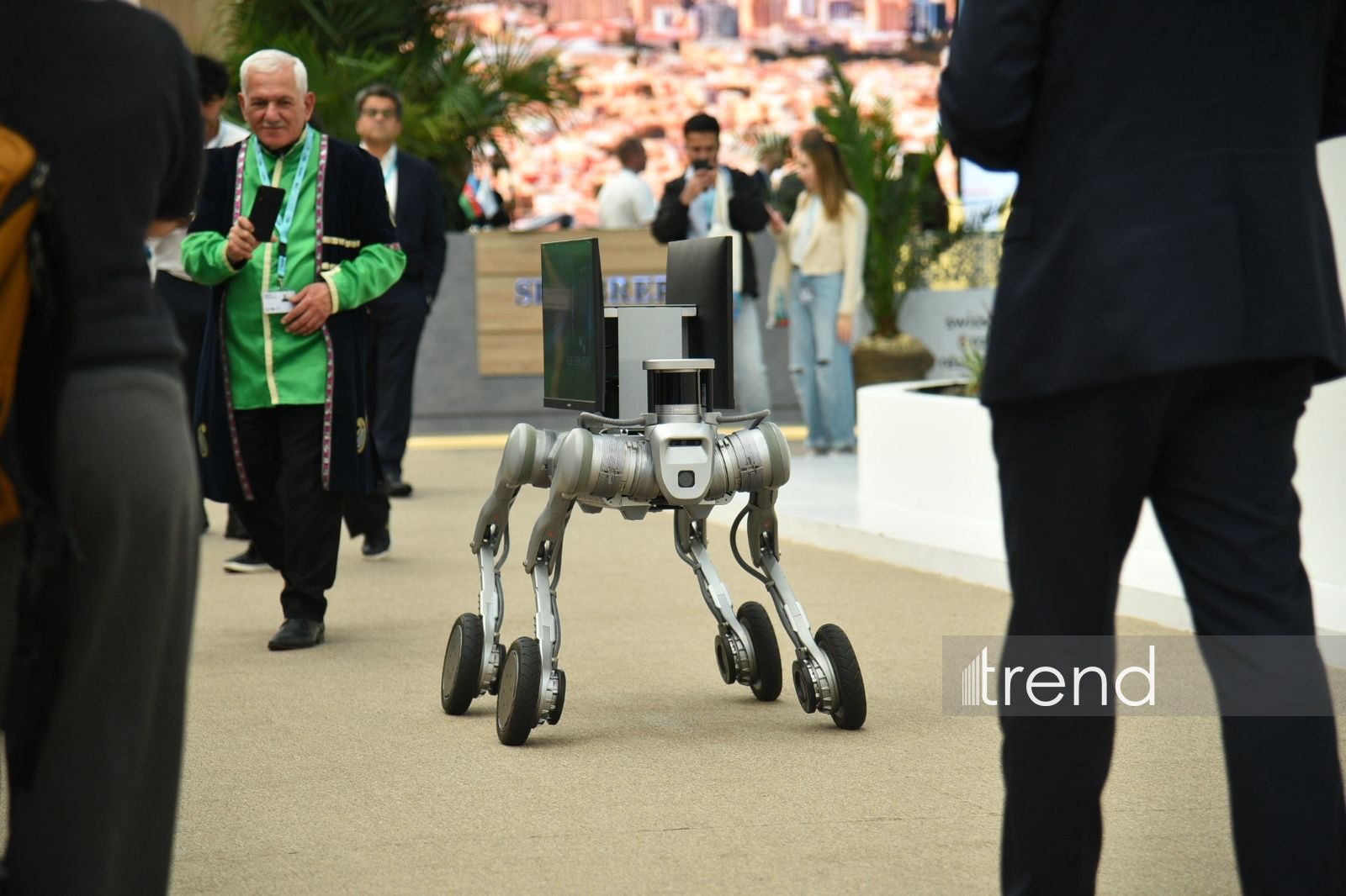 Завершился второй день WUF13 в Баку (Фоторепортаж)
