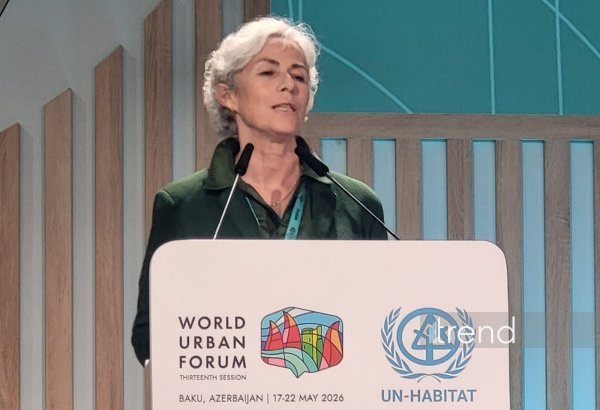 UN-Habitat призывает учитывать мегаполисы при формировании жилищной политики