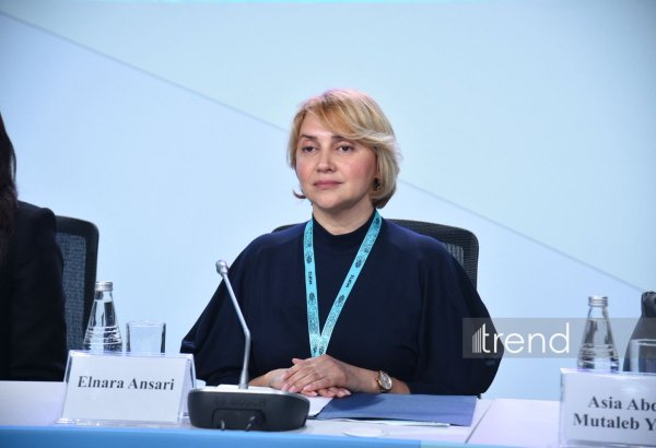 Доступная городская среда - основа независимой жизни людей с инвалидностью - директор Центра DOST