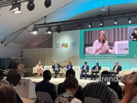 В рамках WUF13 прошла сессия «Жилье в центре глобальных коалиций» (ФОТО)
