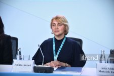 В рамках WUF13 проходит мероприятие на тему "Инклюзивные города и независимая жизнь для людей с инвалидностью" (ФОТО)