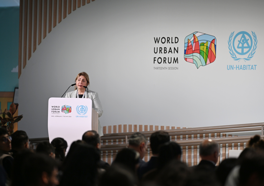 По инициативе вице-президента Фонда Гейдара Алиева Лейлы Алиевой на WUF13 обсуждены вопросы чистого воздуха и устойчивого градостроительства (ФОТО)