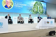 В рамках WUF13 обсуждаются качество воздуха и "зелёная" инфраструктура в городах (ФОТО)