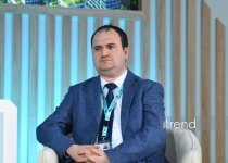 В рамках WUF13 обсуждаются качество воздуха и "зелёная" инфраструктура в городах (ФОТО)