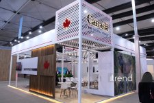 Самые креативные павильоны WUF13 в Баку: Город будущего под куполами и экранами (ФОТО)