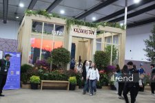 Самые креативные павильоны WUF13 в Баку: Город будущего под куполами и экранами (ФОТО)
