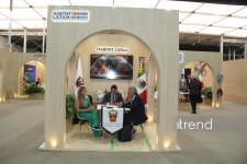 Самые креативные павильоны WUF13 в Баку: Город будущего под куполами и экранами (ФОТО)