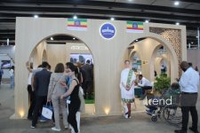 Самые креативные павильоны WUF13 в Баку: Город будущего под куполами и экранами (ФОТО)