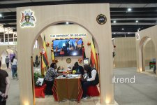 Самые креативные павильоны WUF13 в Баку: Город будущего под куполами и экранами (ФОТО)