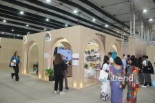 Самые креативные павильоны WUF13 в Баку: Город будущего под куполами и экранами (ФОТО)