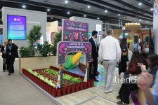 Самые креативные павильоны WUF13 в Баку: Город будущего под куполами и экранами (ФОТО)