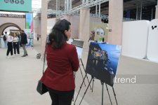 WUF13 в Баку: форум городов будущего превратился в пространство искусства и культуры (ФОТО)