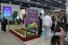 WUF13 в Баку: форум городов будущего превратился в пространство искусства и культуры (ФОТО)