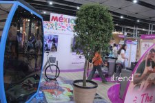 WUF13 в Баку: форум городов будущего превратился в пространство искусства и культуры (ФОТО)