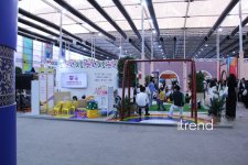 WUF13 в Баку: форум городов будущего превратился в пространство искусства и культуры (ФОТО)