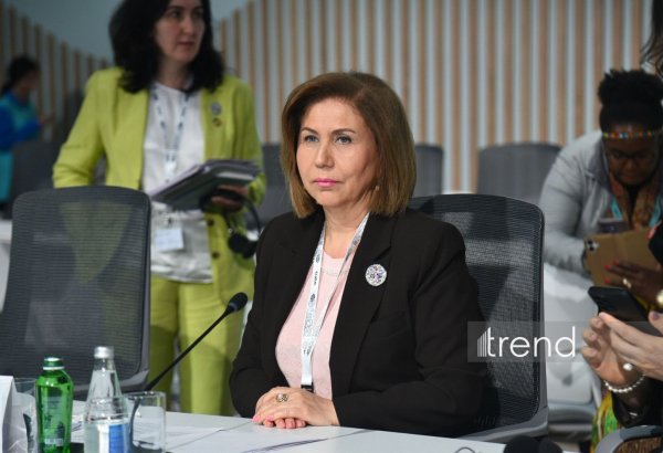 Право на достойное жилье - одна из основ человеческого достоинства - Бахар Мурадова