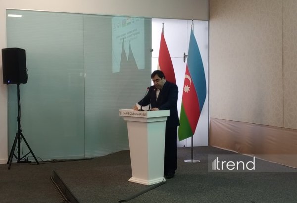 Таджикистан и Азербайджан укрепляют экономическое и инвестиционное сотрудничество - замминистра