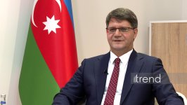 Для предотвращения незаконной вырубки деревьев внедряются новые механизмы контроля - Рашад Исмаилов
