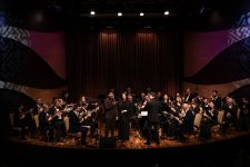 Музыкальная палитра WUF13 в Баку: от классики до современности (ФОТО)